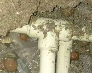 怀集测漏水多少钱