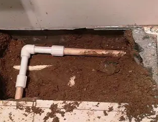 怀集测漏水哪家好