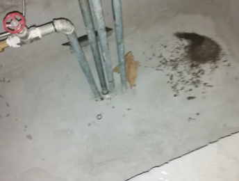 怀集卫生间测漏水价格明细