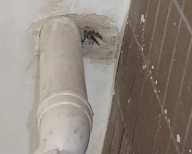 怀集漏水检测哪家好